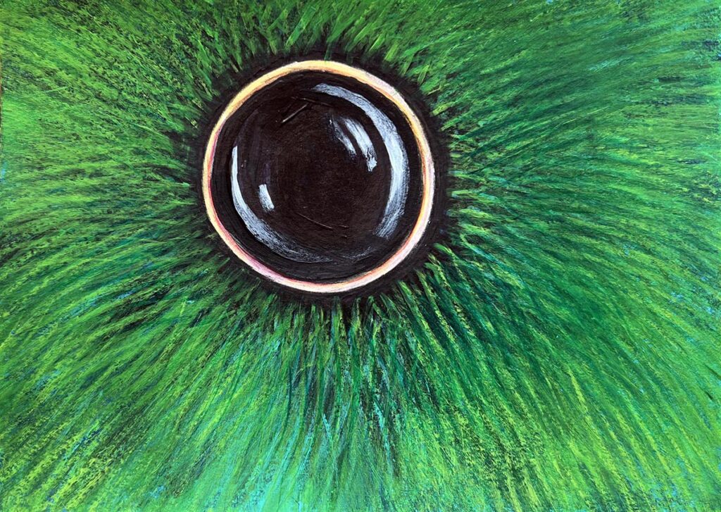 illustration du kamishibaï L'oiseau bleu